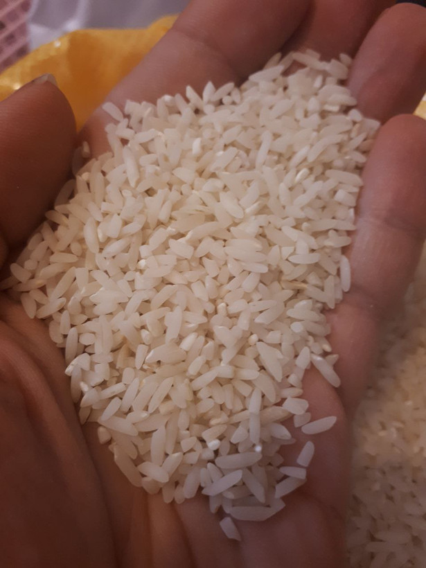 برنج سرلاشه طارم هاشمی اعلا – الک و تمیز شده، عطر و پخت عالی
